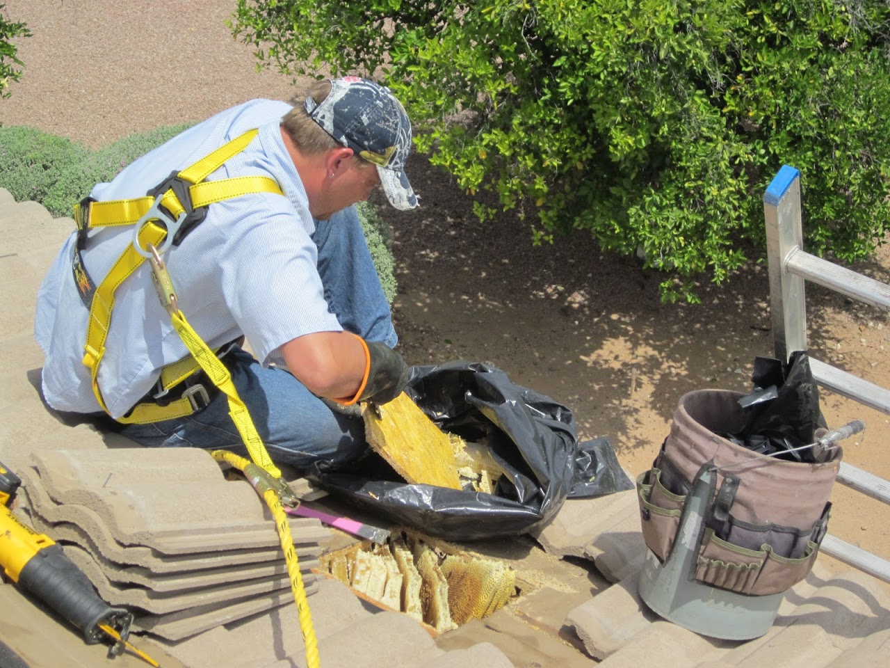 The Beekeeper Total Bee Control project