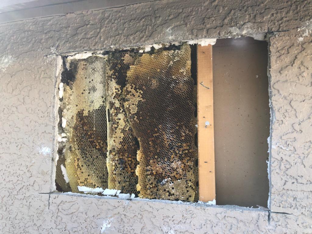 The Beekeeper Total Bee Control project