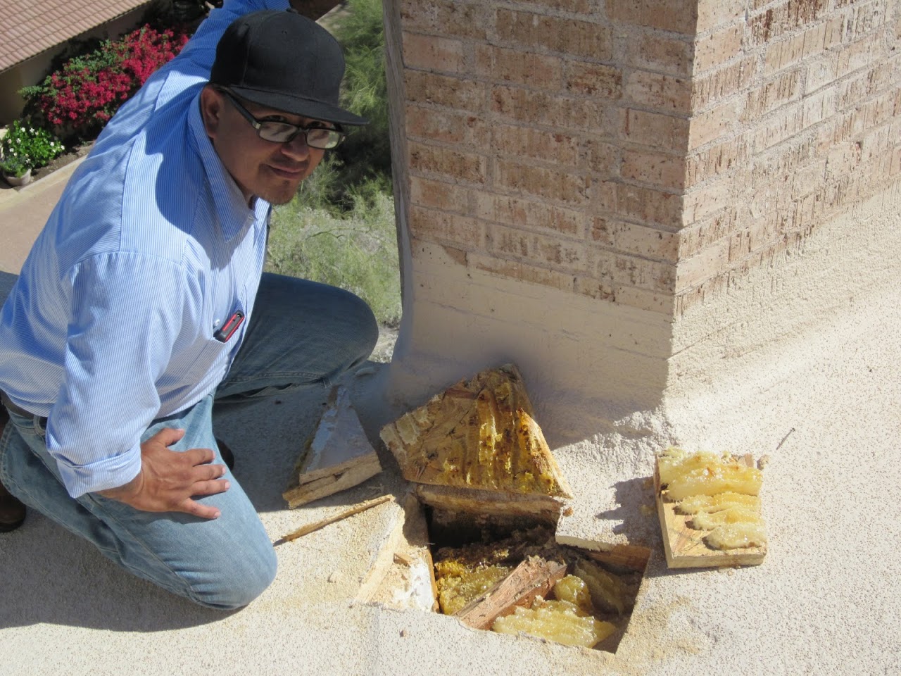 The Beekeeper Total Bee Control project
